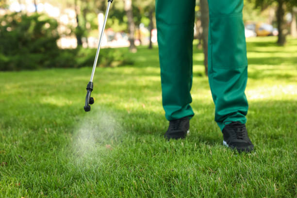 Best Exterminator Services  in Tonopah, NV